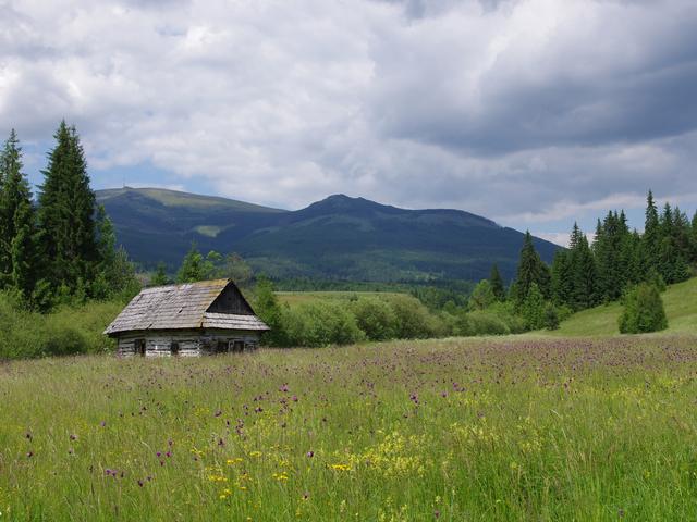 Wiesen am Oberlauf des Hron (Gran) mit Blick zum Kráľova hoľa (Königsberg), zwischen den Nationalparks Niedere Tatra und Muraner Plateau