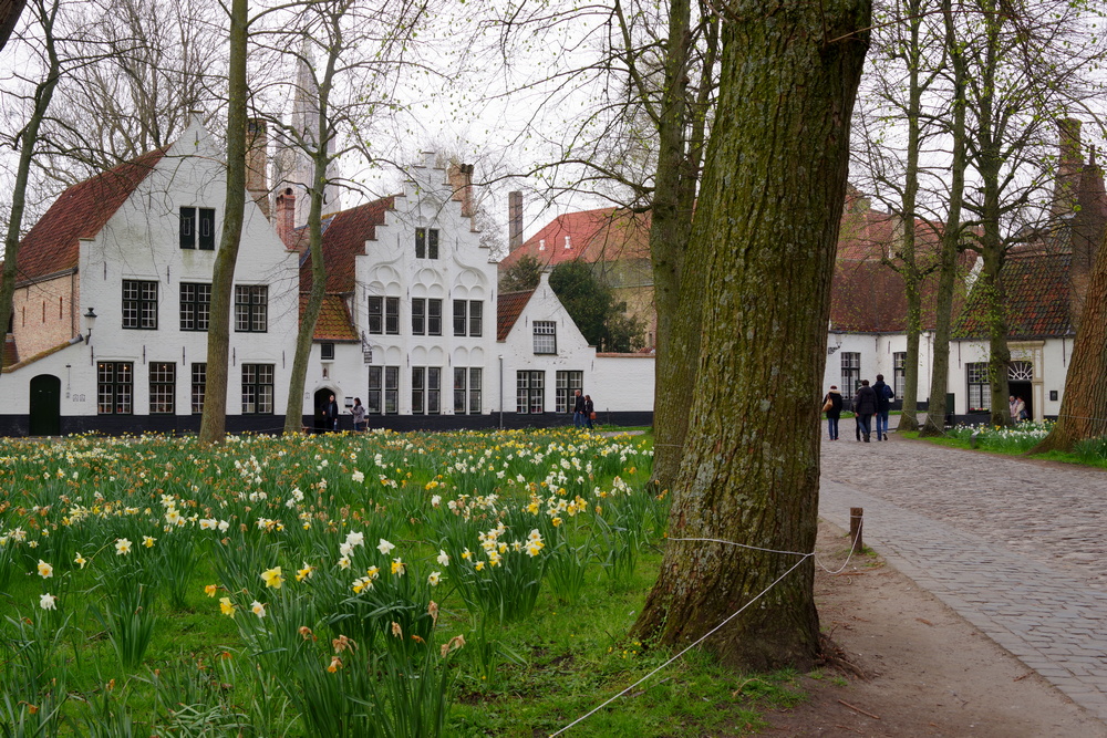 Brugge, Vlaanderen